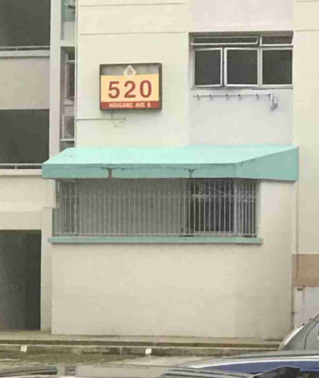 奥克兰 房产 出租 526 Hougang Avenue 6