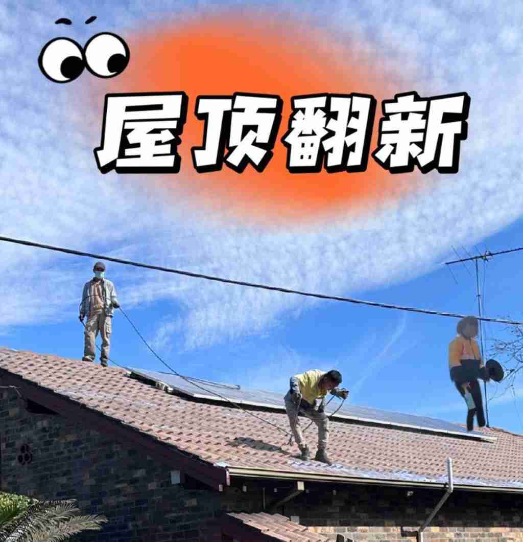 奥克兰 服务 家居维护 户外 凉棚 屋顶翻新 维修